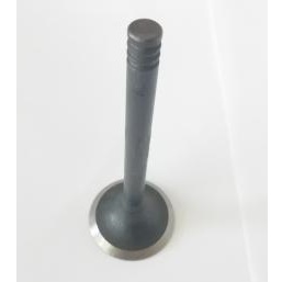 Įsiurbimo vožtuvas 2108